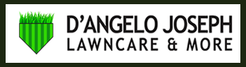 D'Angelo Joseph Lawn Service & More
